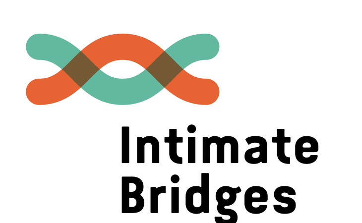 Zu sehen ist das Logo des Projekts Intimate Bridges. Es vereint Text und graphische Elemente. Auf weißem Hintergrund steht in der rechten, unteren Ecke "Intimate Bridges". In der linken, oberen Ecke sind zwei farbige Kurven, die sich wie Sinus und Kosinuskurven überschneiden. Eine Kurve ist türkis, die andere orange.